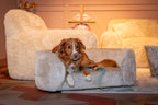 Lit pour animaux Bingo clay chenille