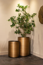 Pot de fleurs Dira brushed gold 45Ø