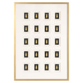Art mural Bear black/gold
